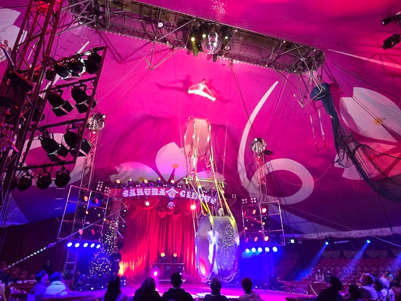 さくらサーカス　奈良公演