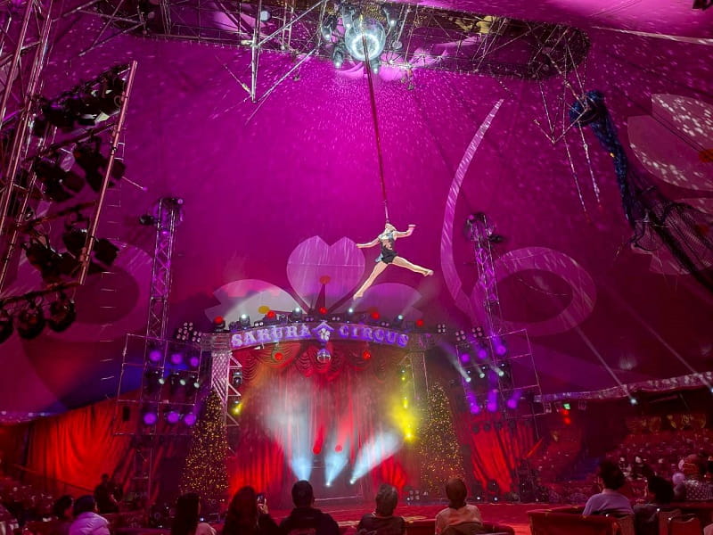 さくらサーカス　奈良公演