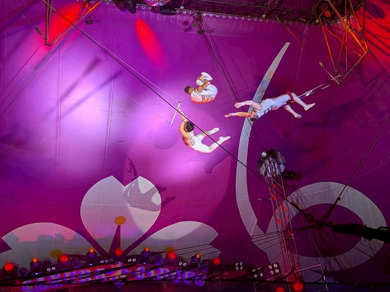 さくらサーカス　奈良公演