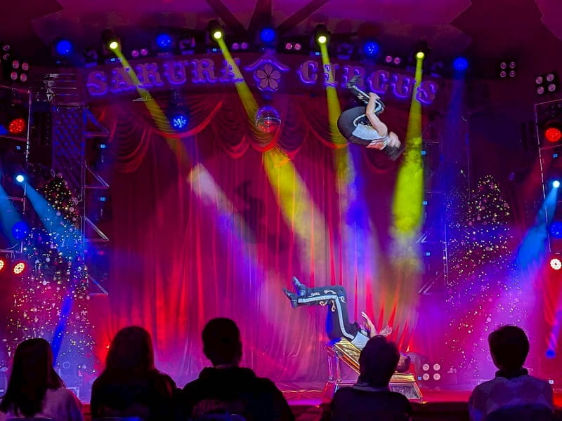 さくらサーカス　奈良公演